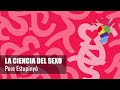 Valparaíso 2015. La ciencia del sexo: Pere Estupinyá.