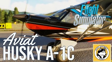 LATEST Aviat Husky A-1C at Microsoft Flight Simulator 2020
