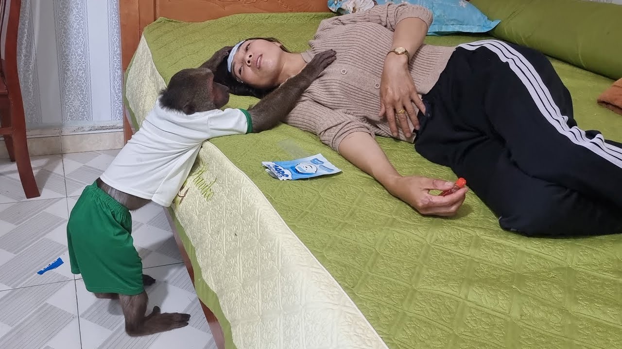 So Lovely and Cute! ABU helps mom when she's sick