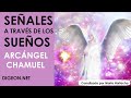 MENSAJE de los ÁNGELES PARA TI DIGEON💌ARCÁNGEL CHAMUEL💗TE HABLO EN SUEÑOS🔴enseñanzas VERTI🔴