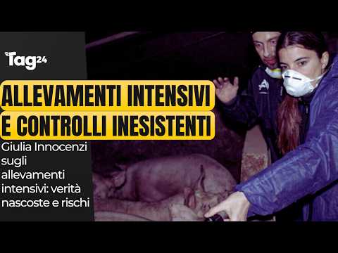 Allevamenti intensivi, verità nascoste e rischi sanitari: parla Giulia Innocenzi