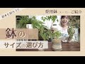 【鉢のサイズでお困りならコレ見て解決！】鉢のサイズの選び方