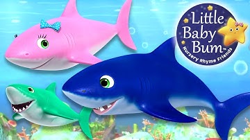 Baby Shark Song | Learn with Little Baby Bum | Nursery Rhymes for Babies | Songs for Kids