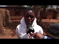 Tragedy in Nyabira as 13-year-old fatally attacked by six stray dogs