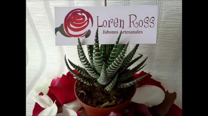 JABONES ARTESANALES, LOREN ROSS