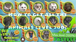 WildCraft - How to get all the Animals level 200 Fastly ?