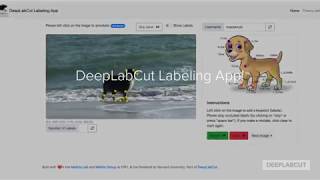 Model Zoo: DeepLabCut Labeling App!