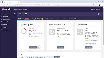 42Crunch API Security Platform: Getting Started with Security Audit