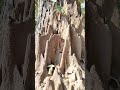 दीमक की हवेली | Termite's mansion | #nature #jungle #travel #uttarakhand