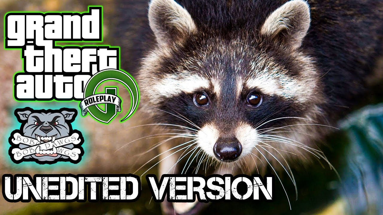 ketika-bermain-gta-v-rp-roleplay-pertama-kali-youtube