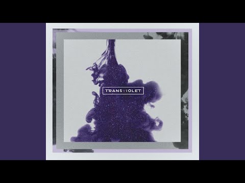 New Bohemia - Transviolet