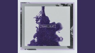 New Bohemia - Transviolet