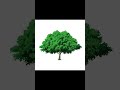 Tree Tutorial! Share this with an artist who needs it 🙂🙂 IG: jnjl23 #digitalpainting