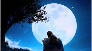 পূর্ণিমা সন্ধ্যায় ✨💫 তোমার রজনীগন্ধায় 🌼🌸 || Purnima Sondhay Tomar Rojonigondhay || Bangla Song