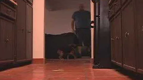 A day in the life sega