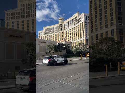 Lost footage - Dragon Cash slot machine