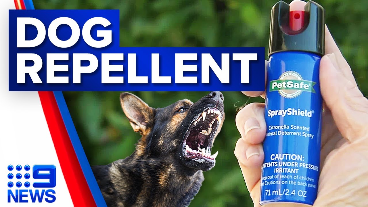 Demand for dog repellent sprays on the rise in WA | 9 News Australia -  YouTube