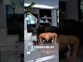 Push-up challenge!