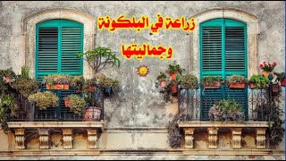 بلكونة روعة،?مشاركة لسيدة حنان من المغرب