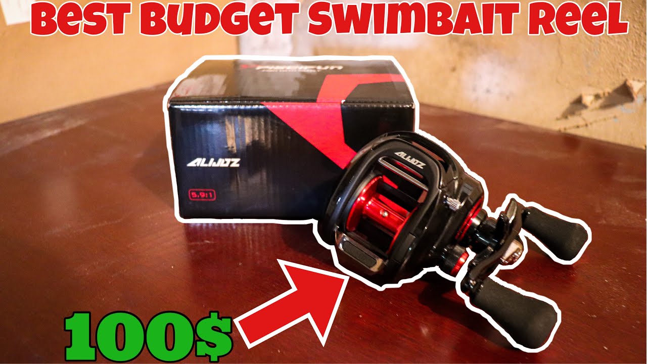 THE BEST BUDGET SWIMBAIT REEL ON THE MARKET!! (REVIEW VIDEO) 