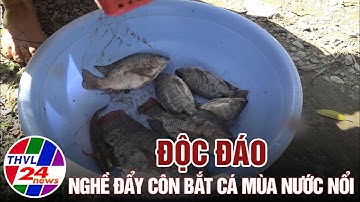 Độc đáo nghề đẩy côn bắt cá mùa nước nổi