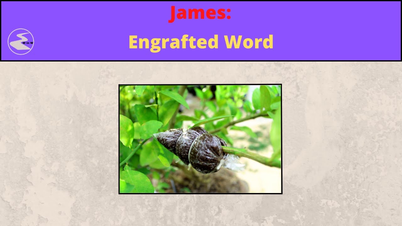 James: Engrafted Word - YouTube