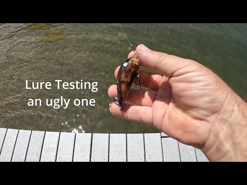 Ugly Lure Testing & Some Relaxing Fishes Video