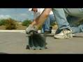 Part 7 - Building a shed from gardensheds.com.au Part 7 - Building a shed from gardensheds.com.au