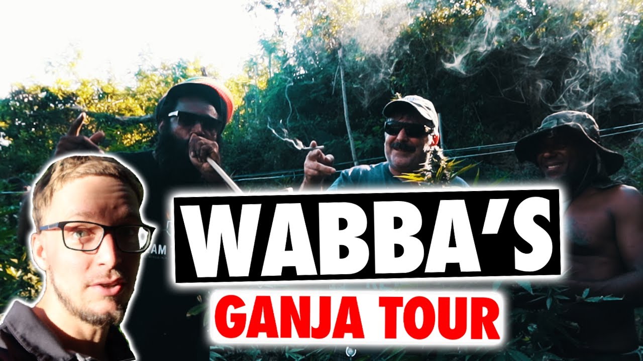 Wabba's Ganja Field Tour with @urbanremo