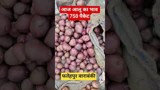 आज आलू का भाव #farming #alookabhav #shortvideo #barabanki