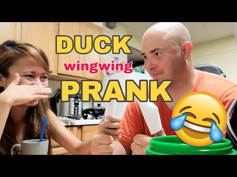 DUCK WINGWING PRANK | CHICKEN AND APPLE CURRY RECIPE