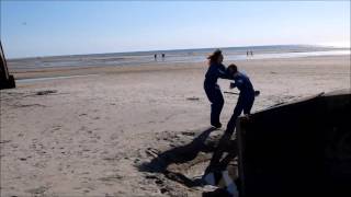 TEASER BERCK IE 2016
