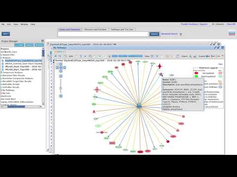 FunctBioinfo2016_Day3pt9_Upstream Regulators And Networks In IPA