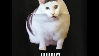 バカですが何か？