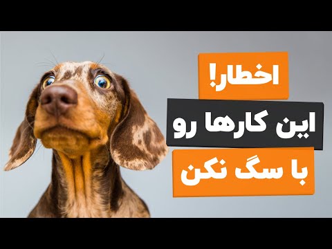 تصویری: علائم و علائم آلرژی سگ: چگونه تشخیص دهیم سگ شما آلرژی دارد یا خیر