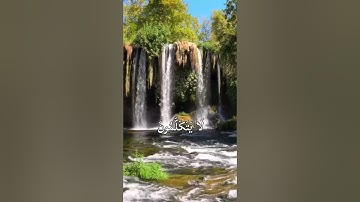 سورة النبأ 31-40 هزاع البلوشي.