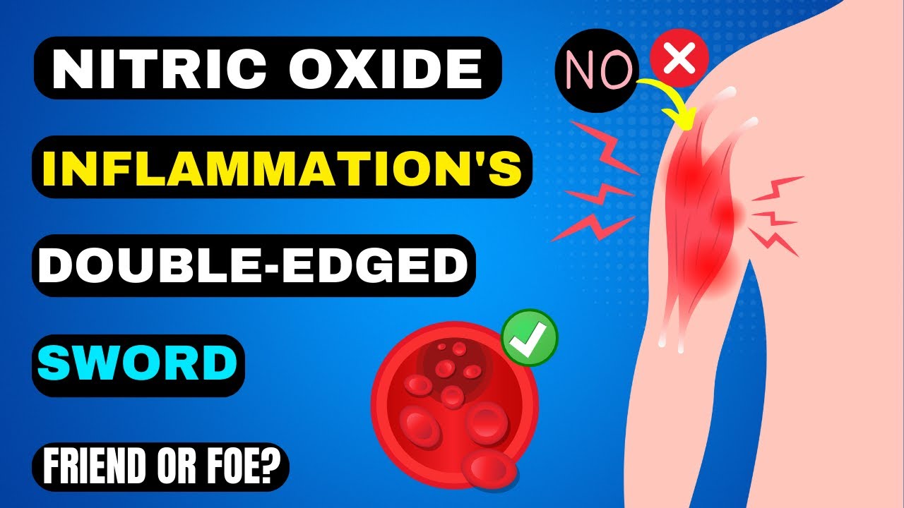 Nitric Oxide and Inflammation A DoubleEdged Sword (Friend or Foe