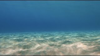 8 Hours - Relaxing Underwater Ocean Sounds | Great Escapes