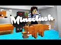 The Minecraft Fox Chal! | Mineclash