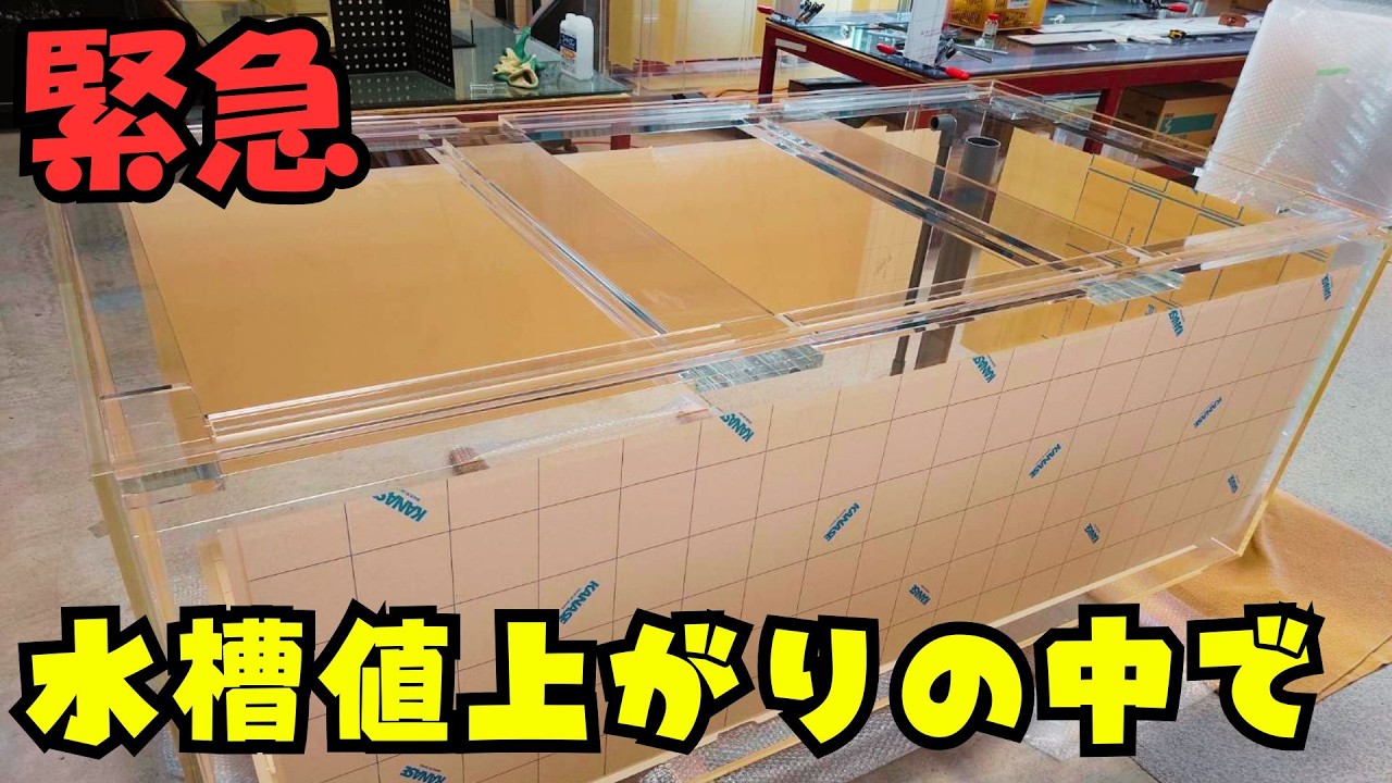 Urgent] With the price of acrylic aquariums rising so dramatically