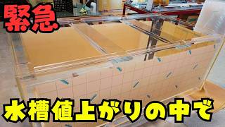 Urgent] With the price of acrylic aquariums rising so dramatically