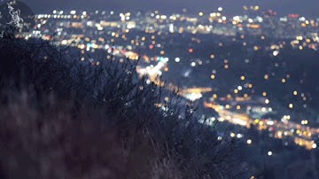 تلاوة حجازية عطرة من سورة النساء