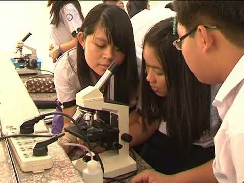 Phóng sự về Trường THPT Marie Curie - Q3 - TPHCM - youtube