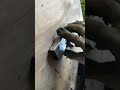 Пистолет пугач из дверной петли