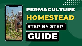 Building a Permaculture Homestead: A Step-by-Step Guide 🌱🏡