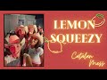 Lemon squeezy  dance and teach line country dance