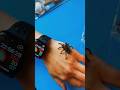 Террариум для птицееда 🕷 #shorts #tarantula #spider #pulchra #habitat #terrarium #terrariumidea
