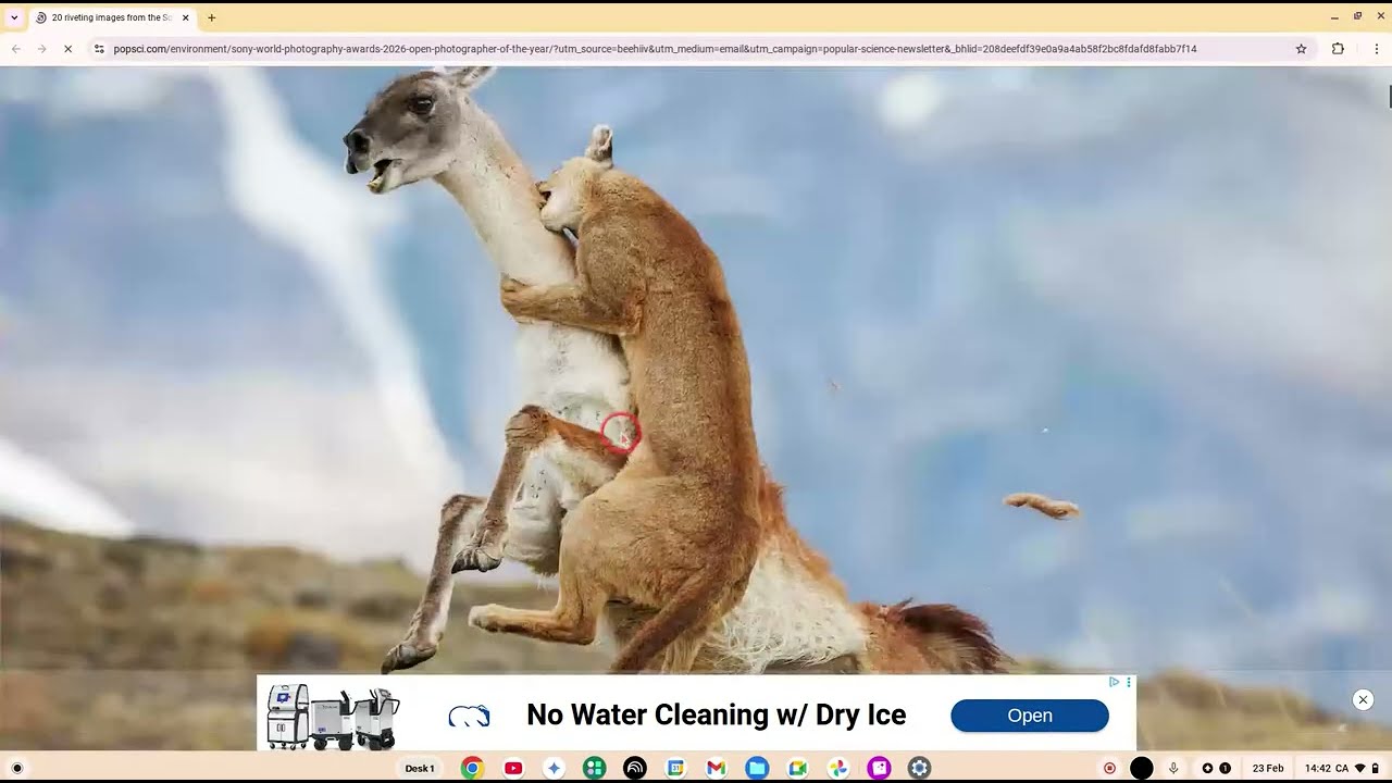 Best pictures from the Sony World Photography Awards 2026