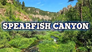 Spearfish Canyon Full Day Adventure  Black Hills | South Dakota