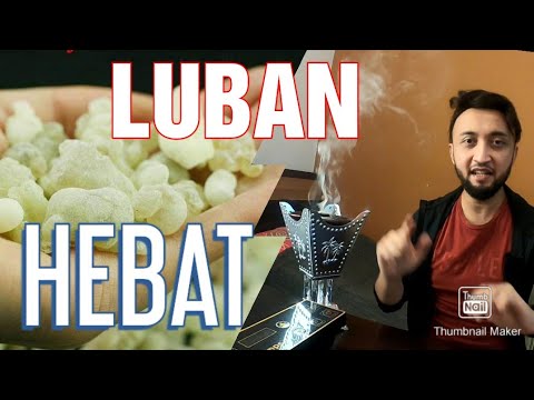 Video: Apa perbedaan antara kemenyan dan olibanum?